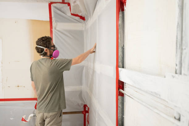 Best Post-Construction Mold Inspection  in Steelville, MO